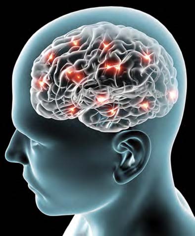 Tete de cerveau dessinée