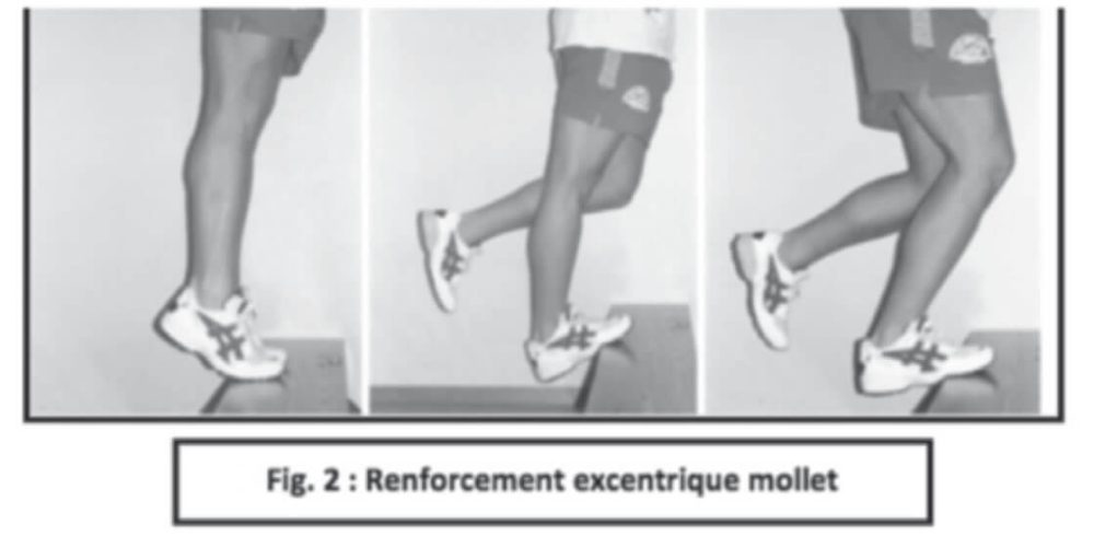 Le Renforcement excentrique