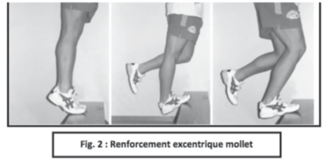 Le Renforcement excentrique